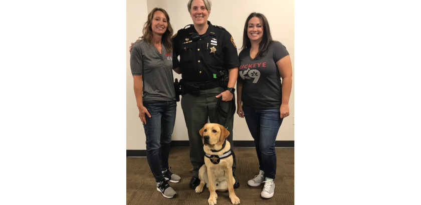 Service Dog Training Ohio