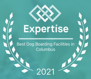 Best Dog Boarding Columbus