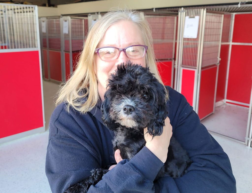 Dog and Dog Trainer at our boarding facility cuddling.