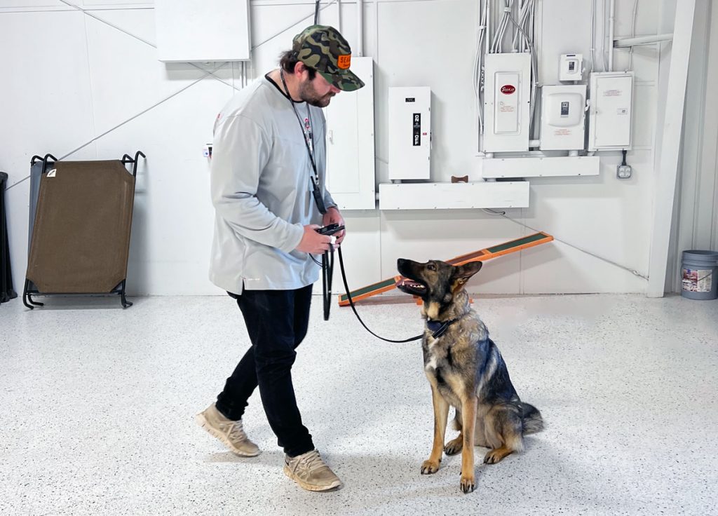 Buckeye K9 Dog Training