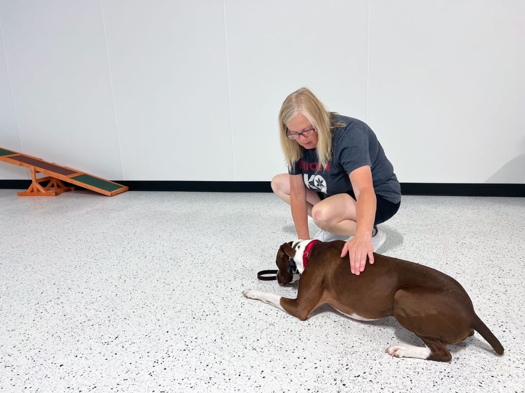 Buckeye K9 Residency Board and Train Program Dog Training